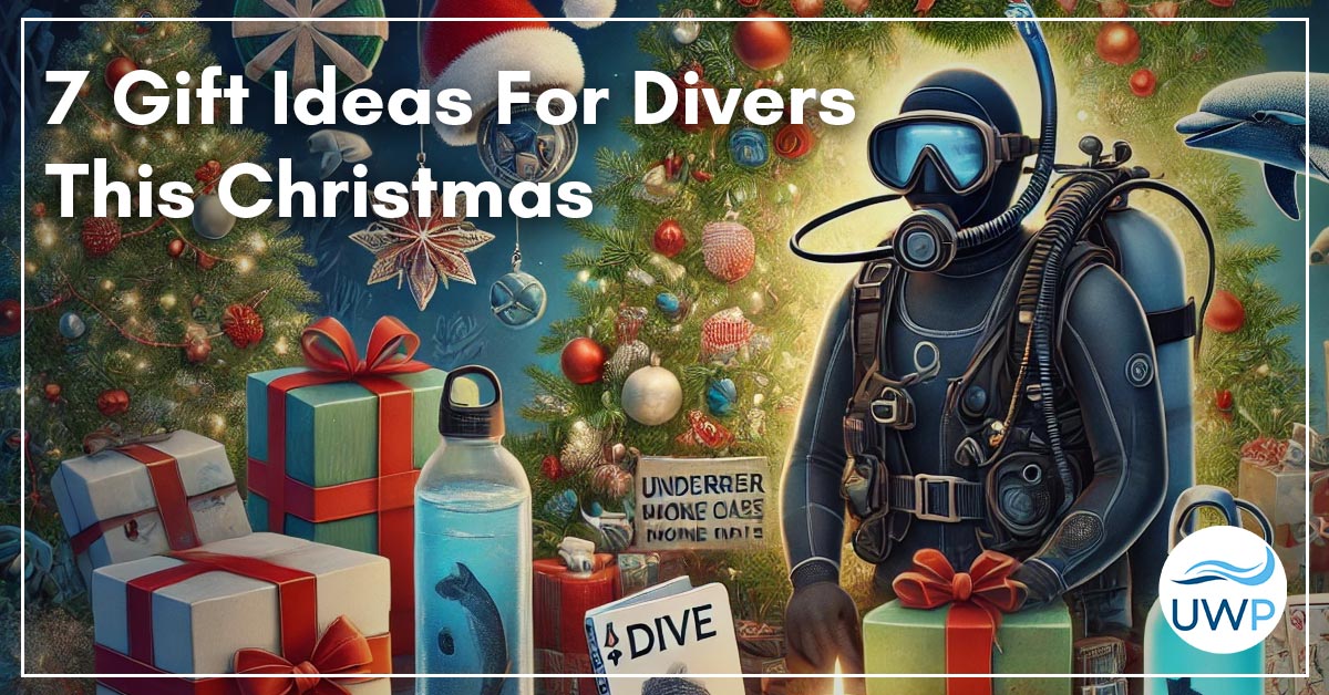 Read more about the article 7 Gifts For Divers That Truly Stand Out This Christmas