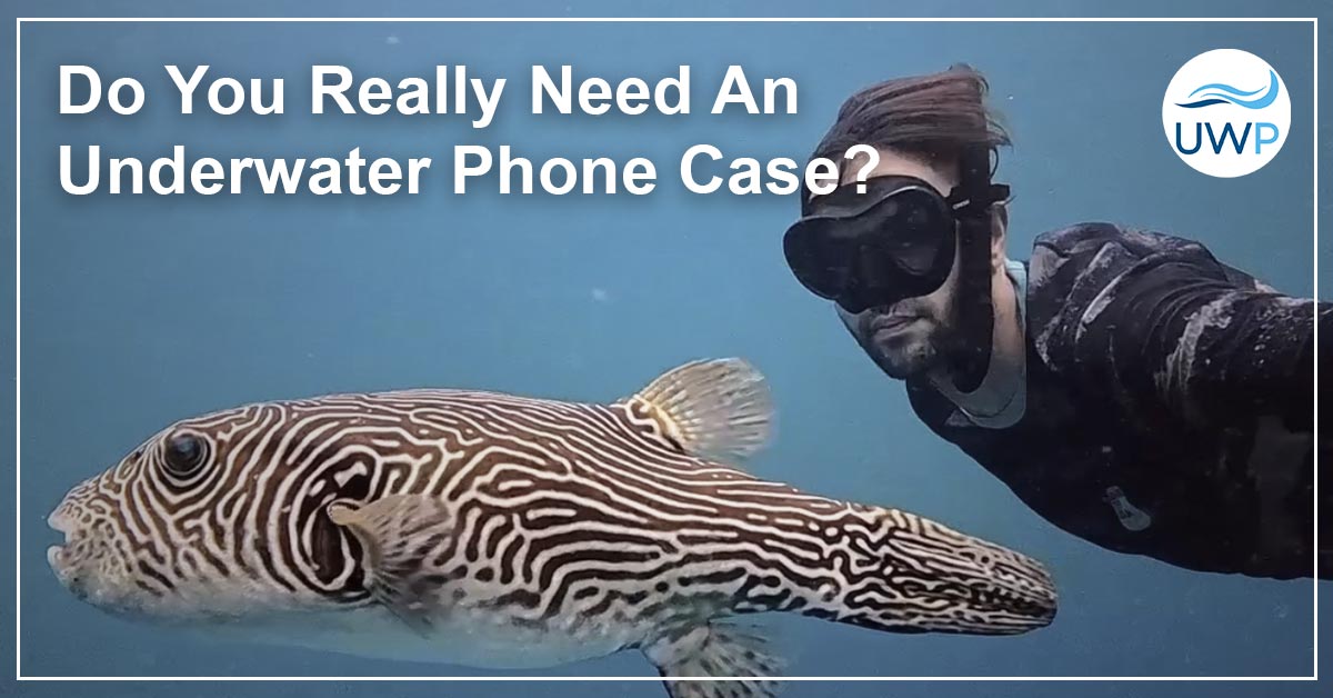 Read more about the article Do You Need An Underwater Phone Case? Here Are 3 Reasons Why