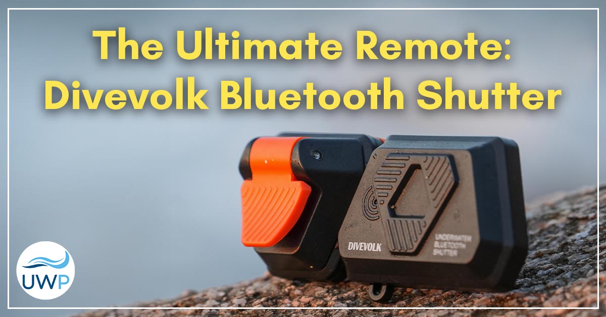 You are currently viewing Divevolk Bluetooth Shutter: The Ultimate Remote for Underwater Photography