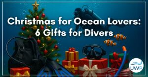 Read more about the article Christmas for Ocean Lovers: 6 Gifts for Divers That They’ll Actually Use