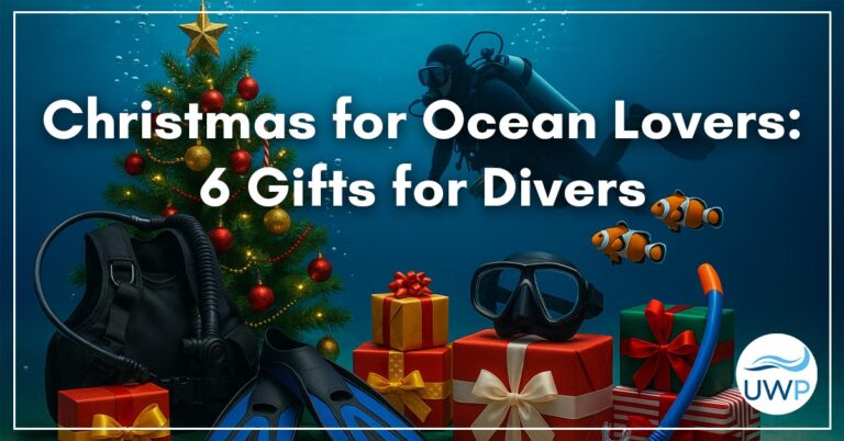 christmas gifts for divers